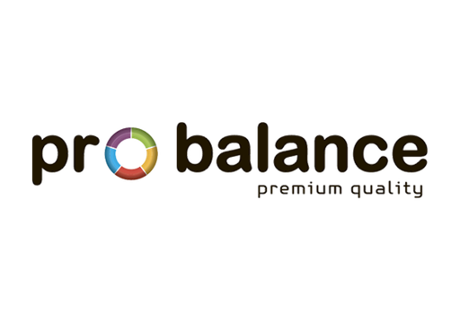 ProBalance